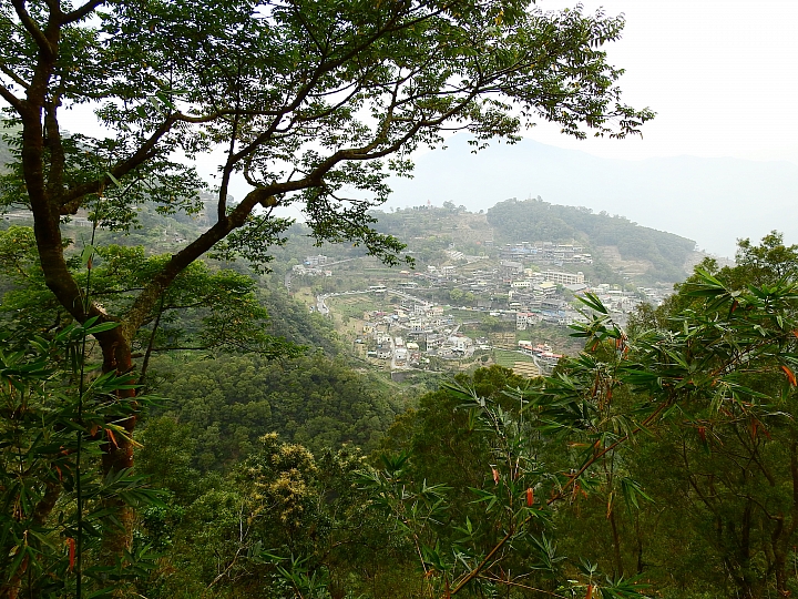 霧台上方山路一公里遠距拍櫻王,並介紹霧台再往上6.5公里的阿禮風光,也請關心台灣的山坡地。