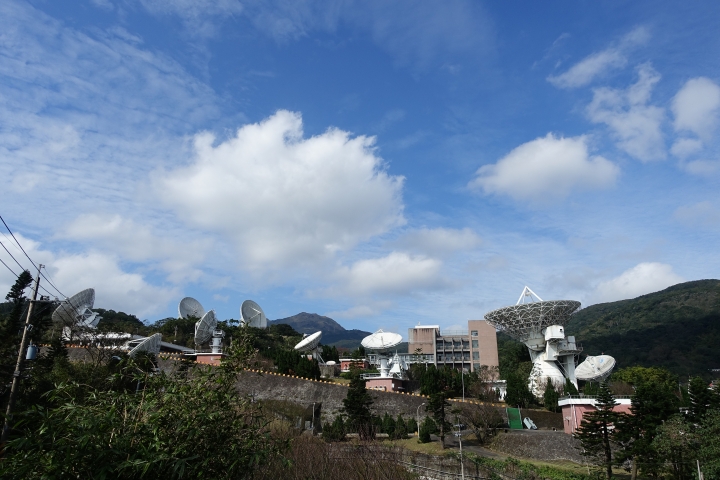 賞櫻趣之平菁街42巷