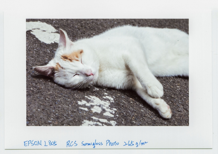 EPSON L805 簡單開箱 與 實際輸出影像測試 勸敗文(2021-11-18 更新)