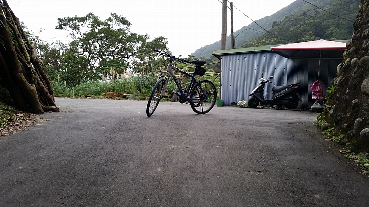 單車騎陡坡瘦的特別快我要挑戰這位大大的陡坡排行榜