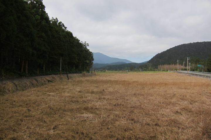 雙連埤