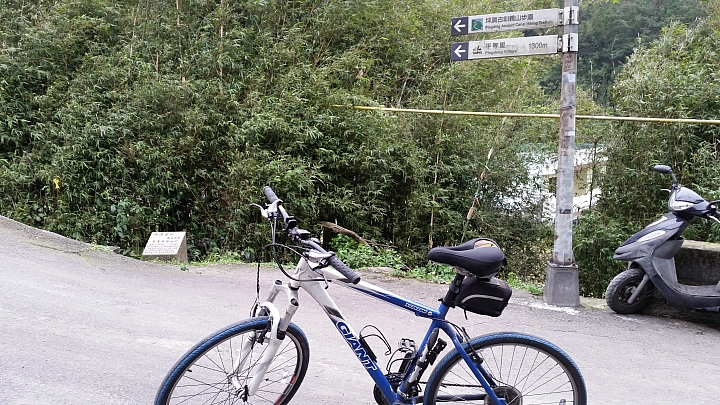 單車騎陡坡瘦的特別快我要挑戰這位大大的陡坡排行榜