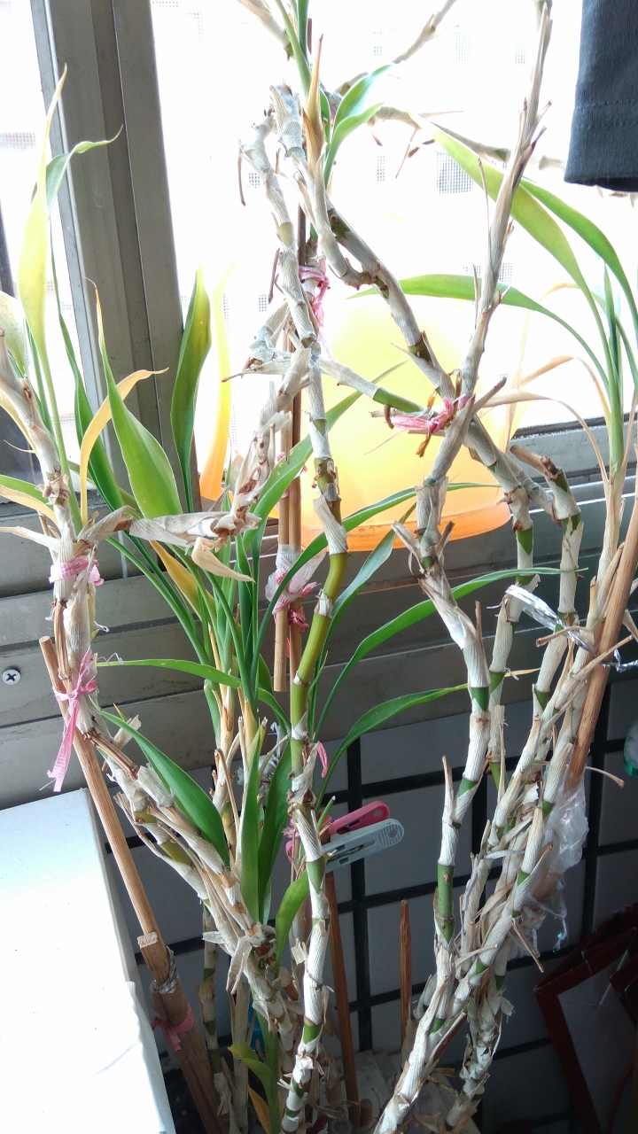 紅米 note3 全網通簡單開箱~