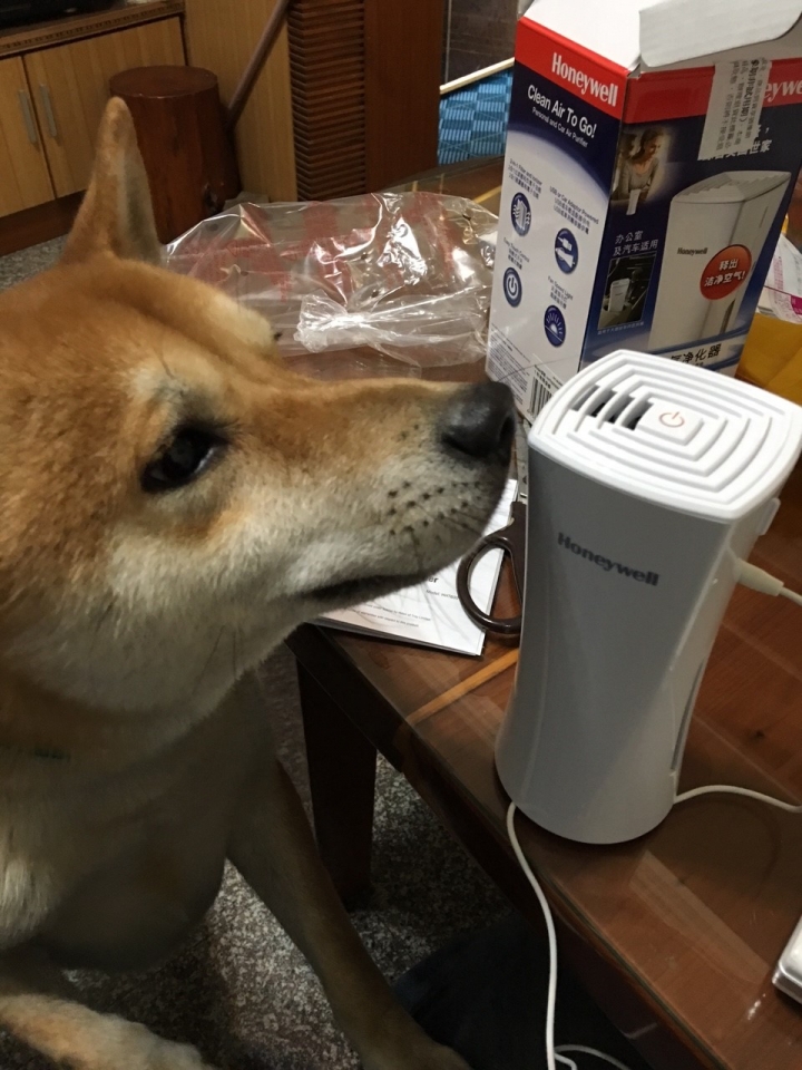 Honeywell車用空氣清淨機HHT600WAPD1 不專業開箱
