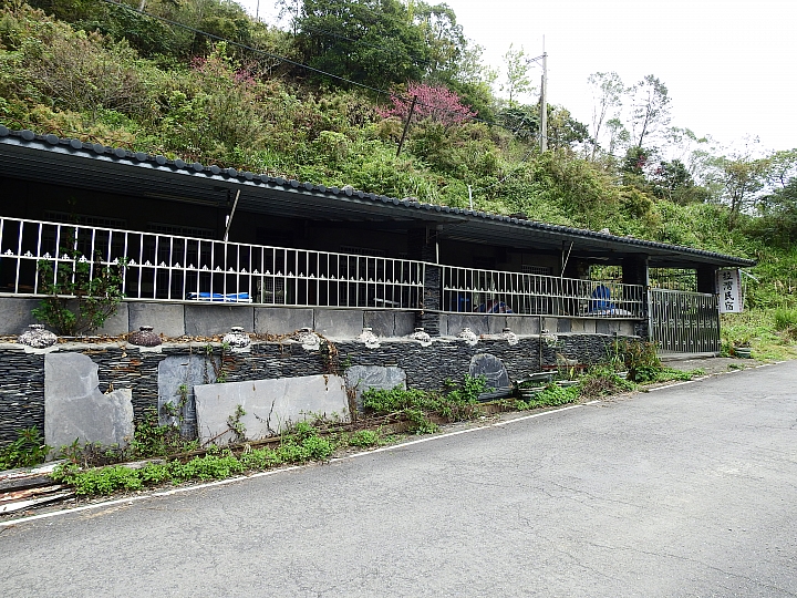 霧台上方山路一公里遠距拍櫻王,並介紹霧台再往上6.5公里的阿禮風光,也請關心台灣的山坡地。