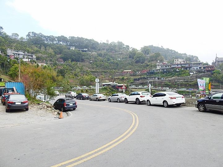 霧台上方山路一公里遠距拍櫻王,並介紹霧台再往上6.5公里的阿禮風光,也請關心台灣的山坡地。