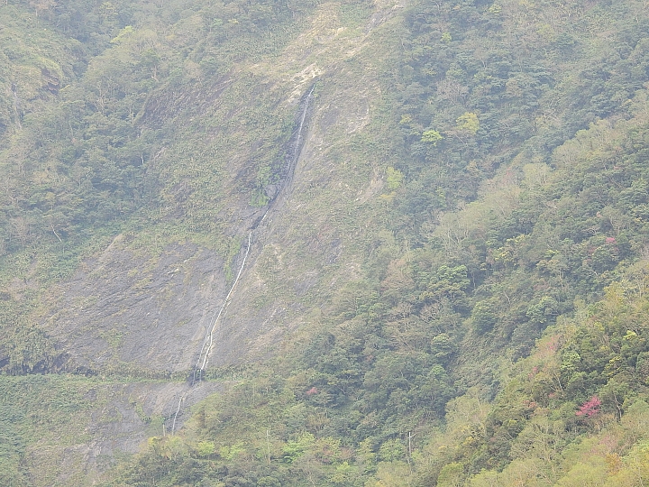 霧台上方山路一公里遠距拍櫻王,並介紹霧台再往上6.5公里的阿禮風光,也請關心台灣的山坡地。