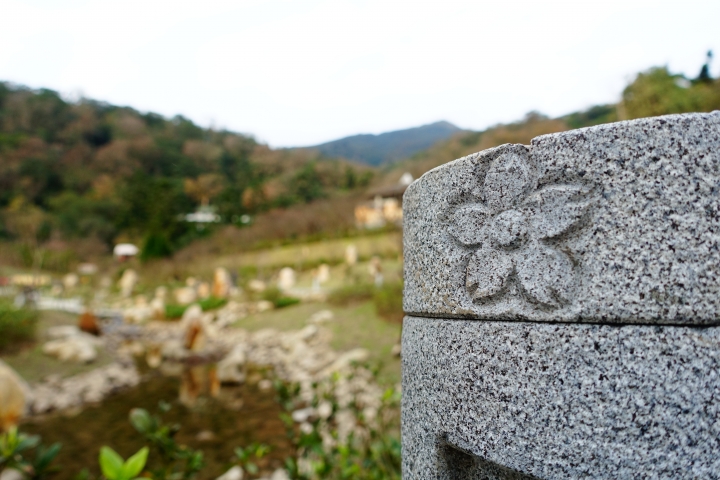 賞櫻趣之平菁街42巷