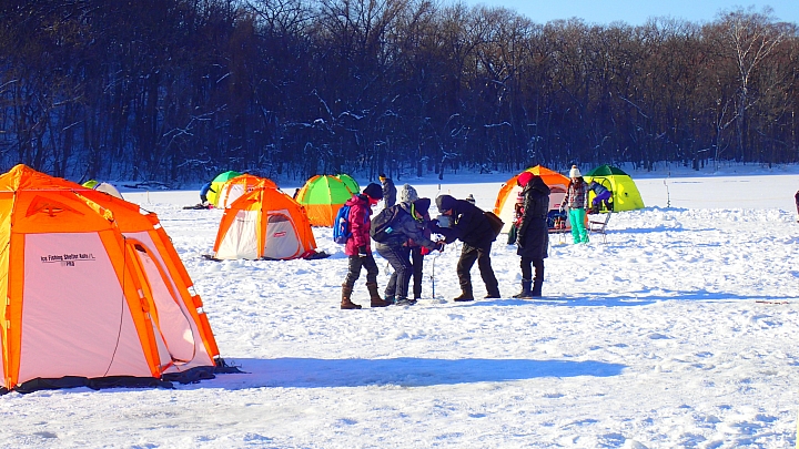 北海道 雪橇犬之旅 全日本壓馬路(株)