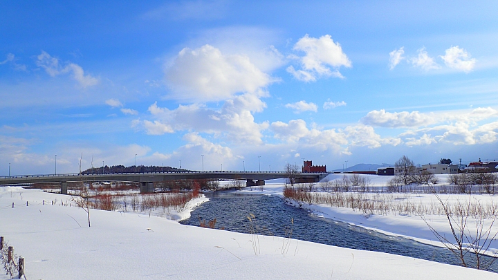 北海道 雪橇犬之旅 全日本壓馬路(株)