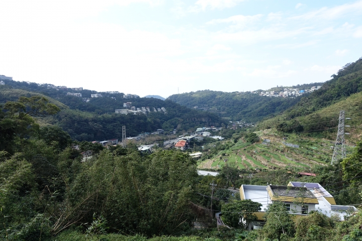 賞櫻趣之平菁街42巷