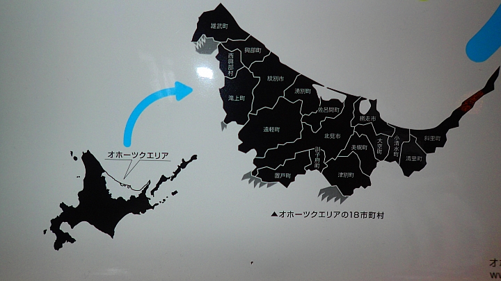 北海道 雪橇犬之旅 全日本壓馬路(株)