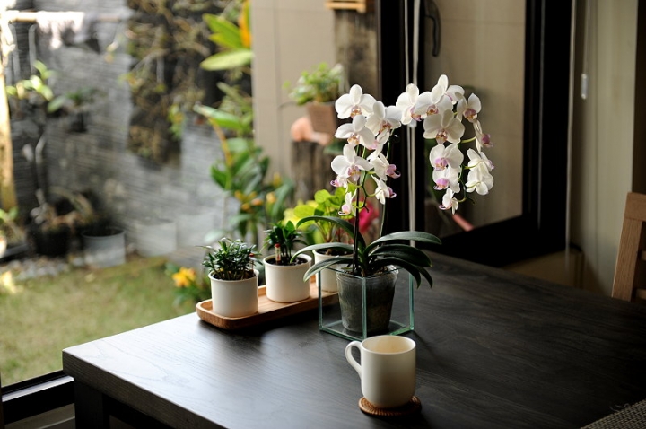風和日麗 . 新屋開箱