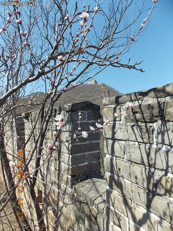 龍泉峪長城