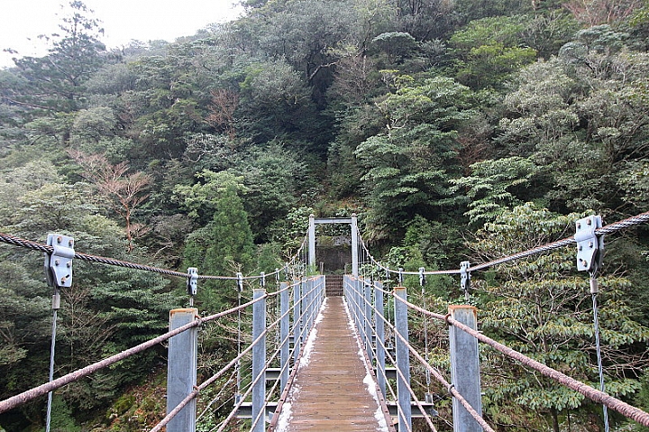 【九州】屋久島