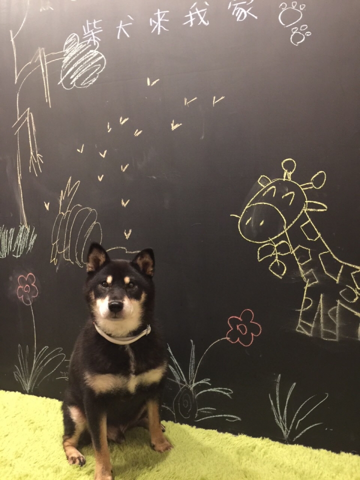 《開箱》柴宅~混搭風