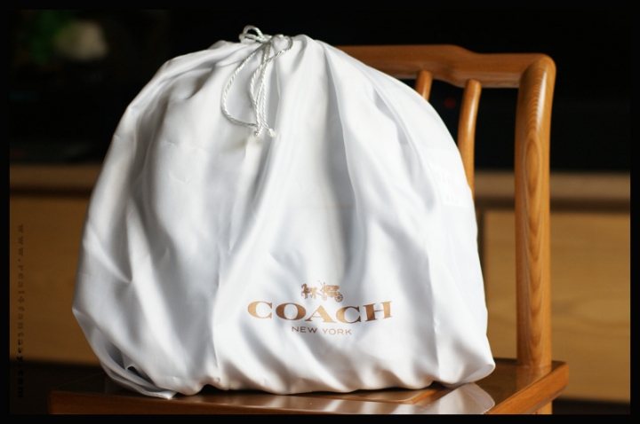 COACH 1941 - ACE棒球手套鞣製皮革手袋
