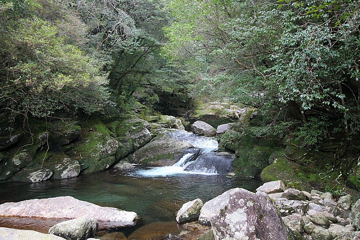 【九州】屋久島