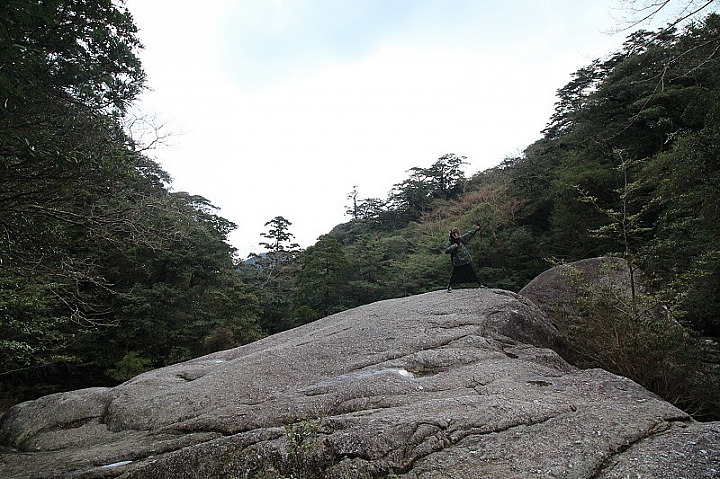 【九州】屋久島