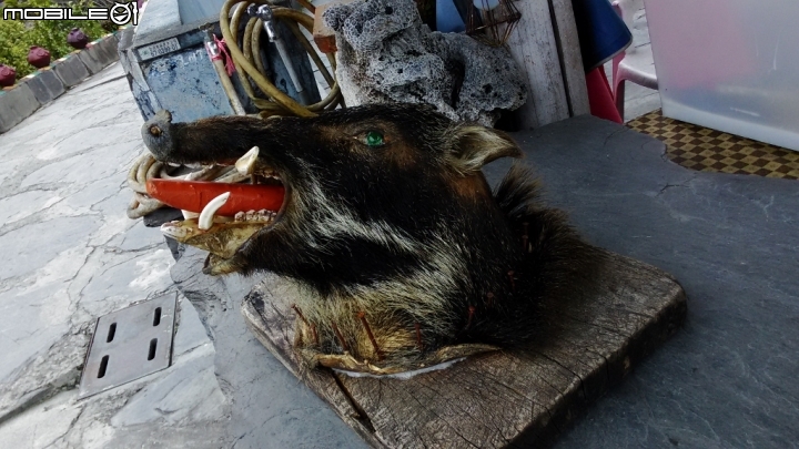 傳說的屏東經典路線~~~我的第一次到訪霧台神山~~