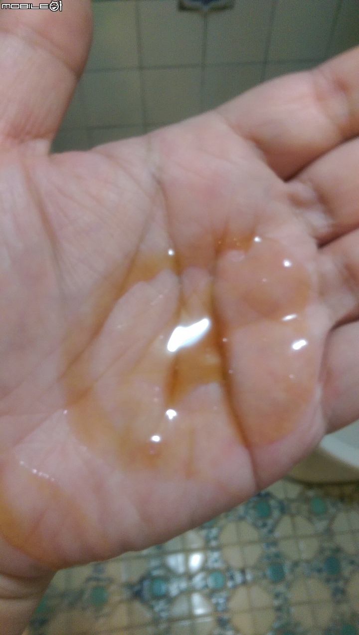 ReEn琍艷 韓方無患子草本洗髮精使用心得