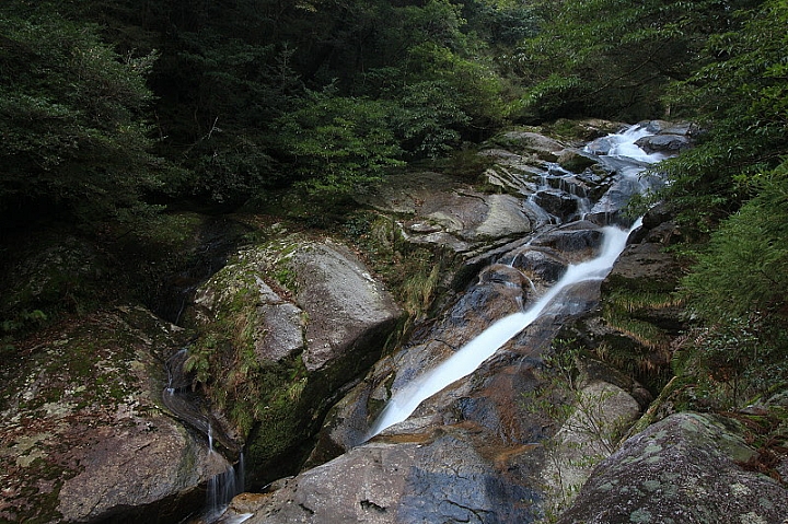 【九州】屋久島