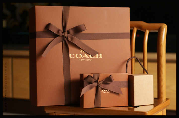 COACH 1941 - ACE棒球手套鞣製皮革手袋
