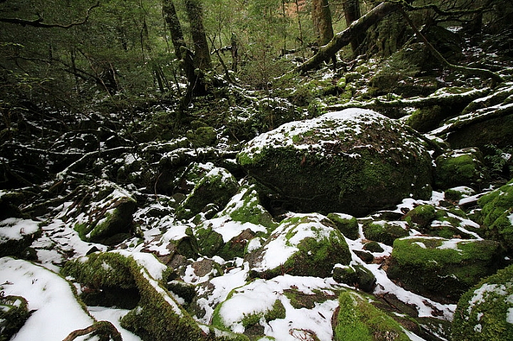 【九州】屋久島