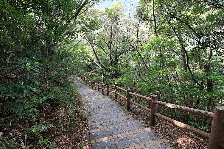 【九州】屋久島