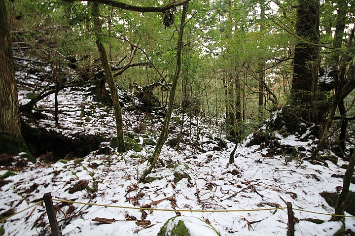 【九州】屋久島