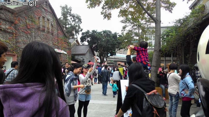 輕鬆單車遊~晨騎陽光橋,碧潭,華山文創園區 ~~