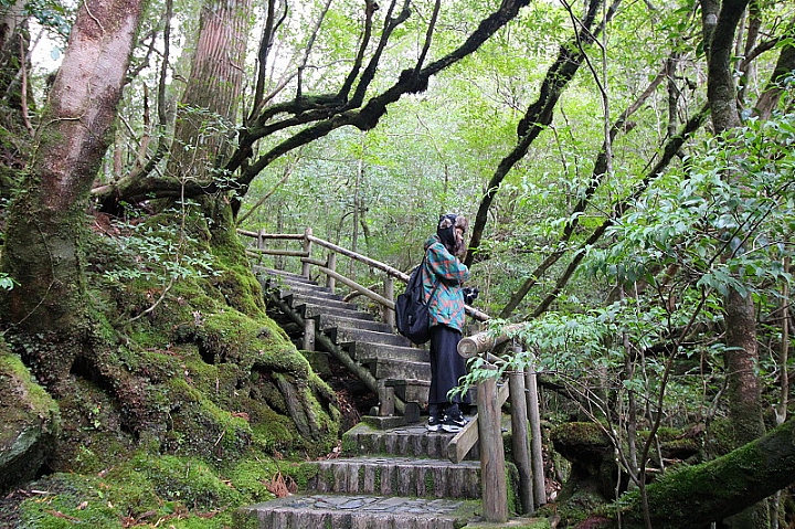 【九州】屋久島