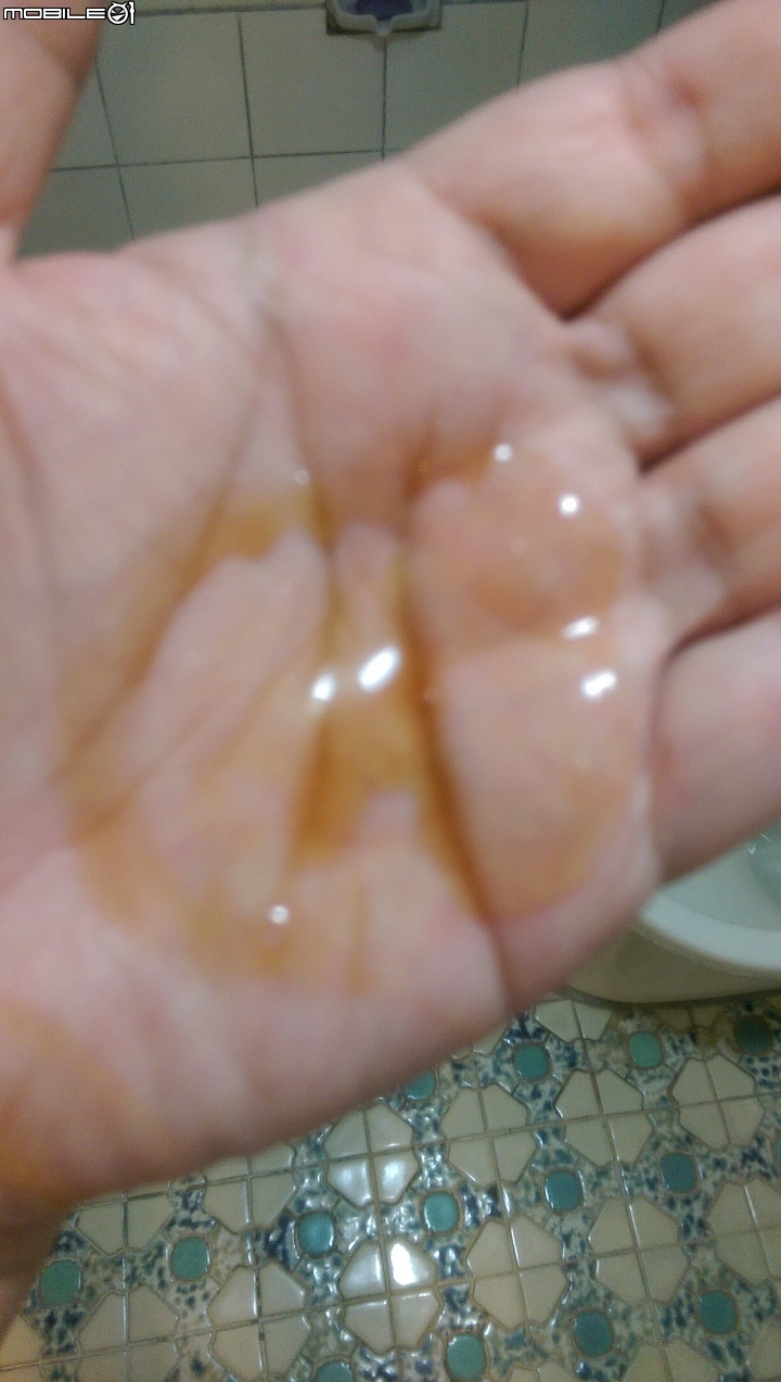 ReEn琍艷 韓方無患子草本洗髮精使用心得