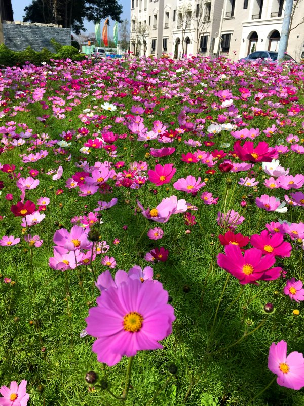 風和日麗 . 新屋開箱