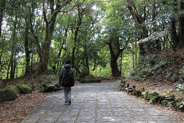 【九州】屋久島