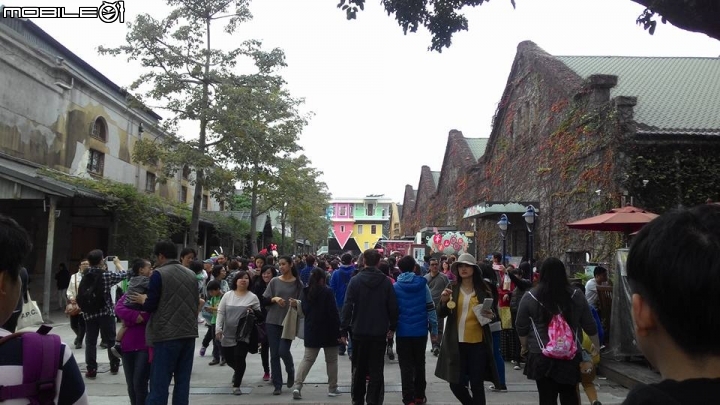 輕鬆單車遊~晨騎陽光橋,碧潭,華山文創園區 ~~