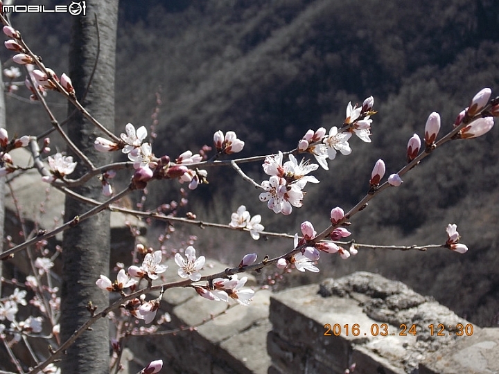 龍泉峪長城