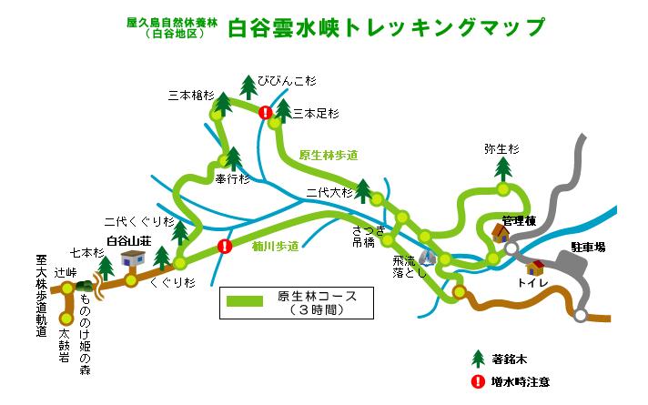 【九州】屋久島