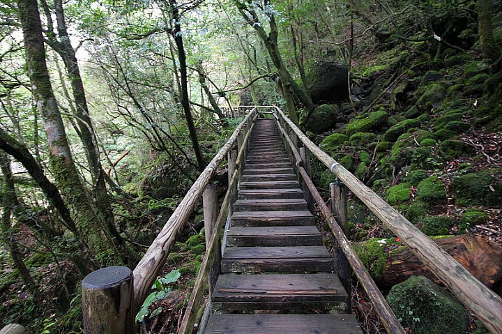 【九州】屋久島