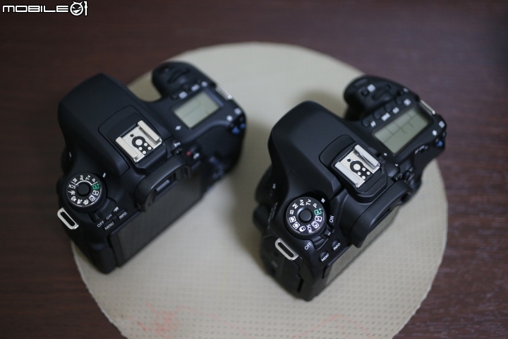 80D 我來了