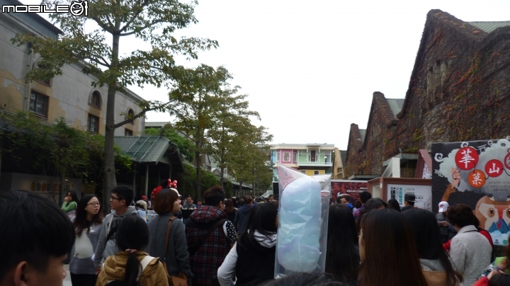 輕鬆單車遊~晨騎陽光橋,碧潭,華山文創園區 ~~