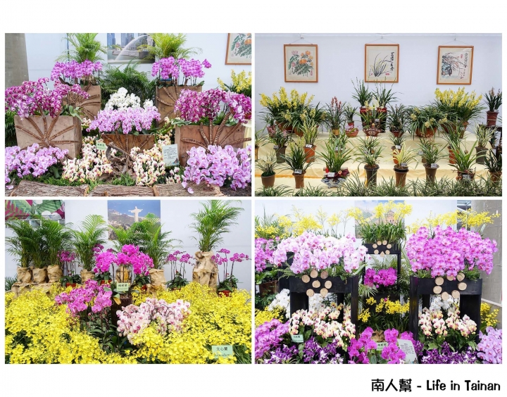 【台南市後壁區-展覽】期間限定賞蘭花~~2016臺灣國際蘭展(至03月21日)