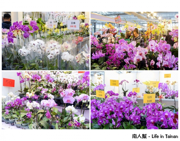 【台南市後壁區-展覽】期間限定賞蘭花~~2016臺灣國際蘭展(至03月21日)