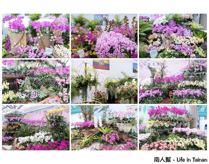 【台南市後壁區-展覽】期間限定賞蘭花~~2016臺灣國際蘭展(至03月21日)