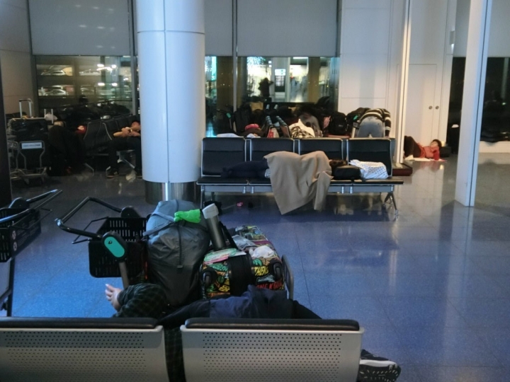 【日本東京X交通】虎航搭機體驗 桃園飛東京羽田 東京羽田飛桃園 含機場過夜