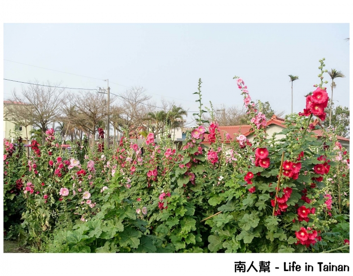【台南旅遊】趣玩台南~~兒童節連假親子遊樂台南趣&旅行台南攻略