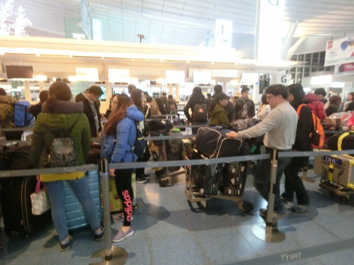 【日本東京X交通】虎航搭機體驗 桃園飛東京羽田 東京羽田飛桃園 含機場過夜