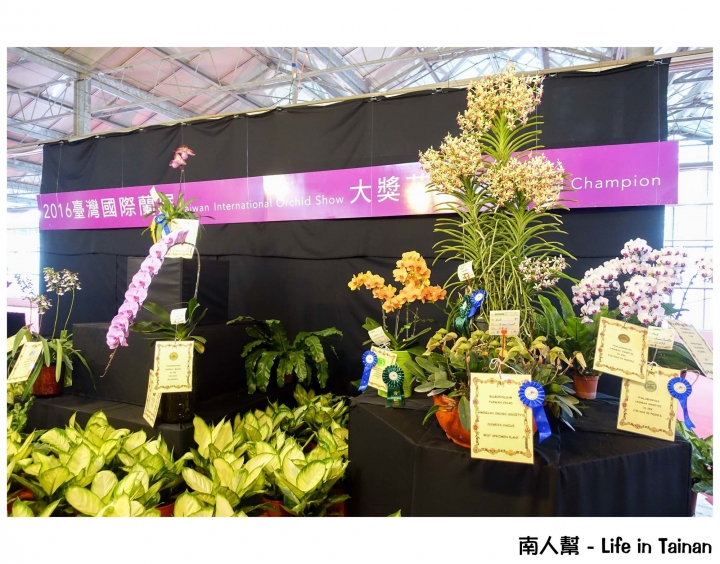 【台南市後壁區-展覽】期間限定賞蘭花~~2016臺灣國際蘭展(至03月21日)