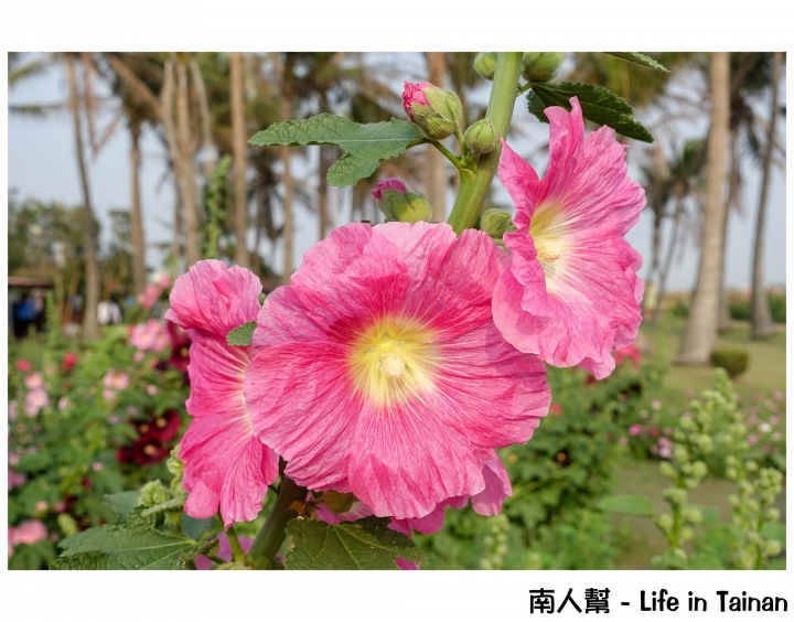 【台南旅遊】趣玩台南~~兒童節連假親子遊樂台南趣&旅行台南攻略