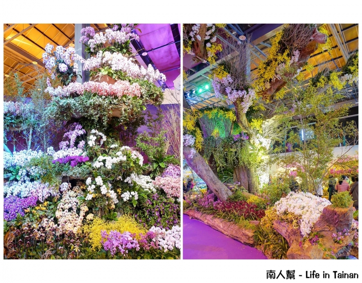 【台南市後壁區-展覽】期間限定賞蘭花~~2016臺灣國際蘭展(至03月21日)
